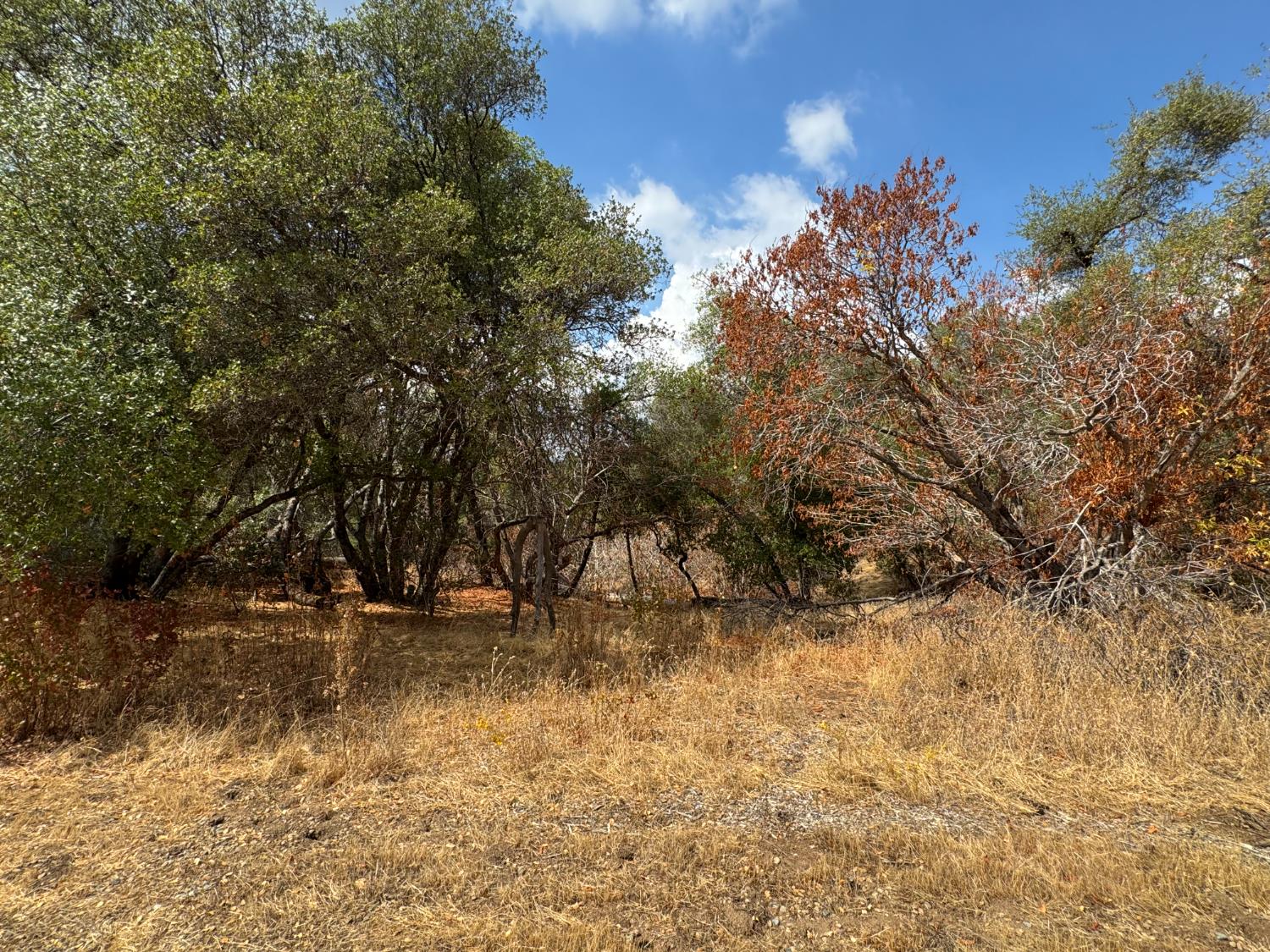 2 Summerhill, Coarsegold, CA 93614