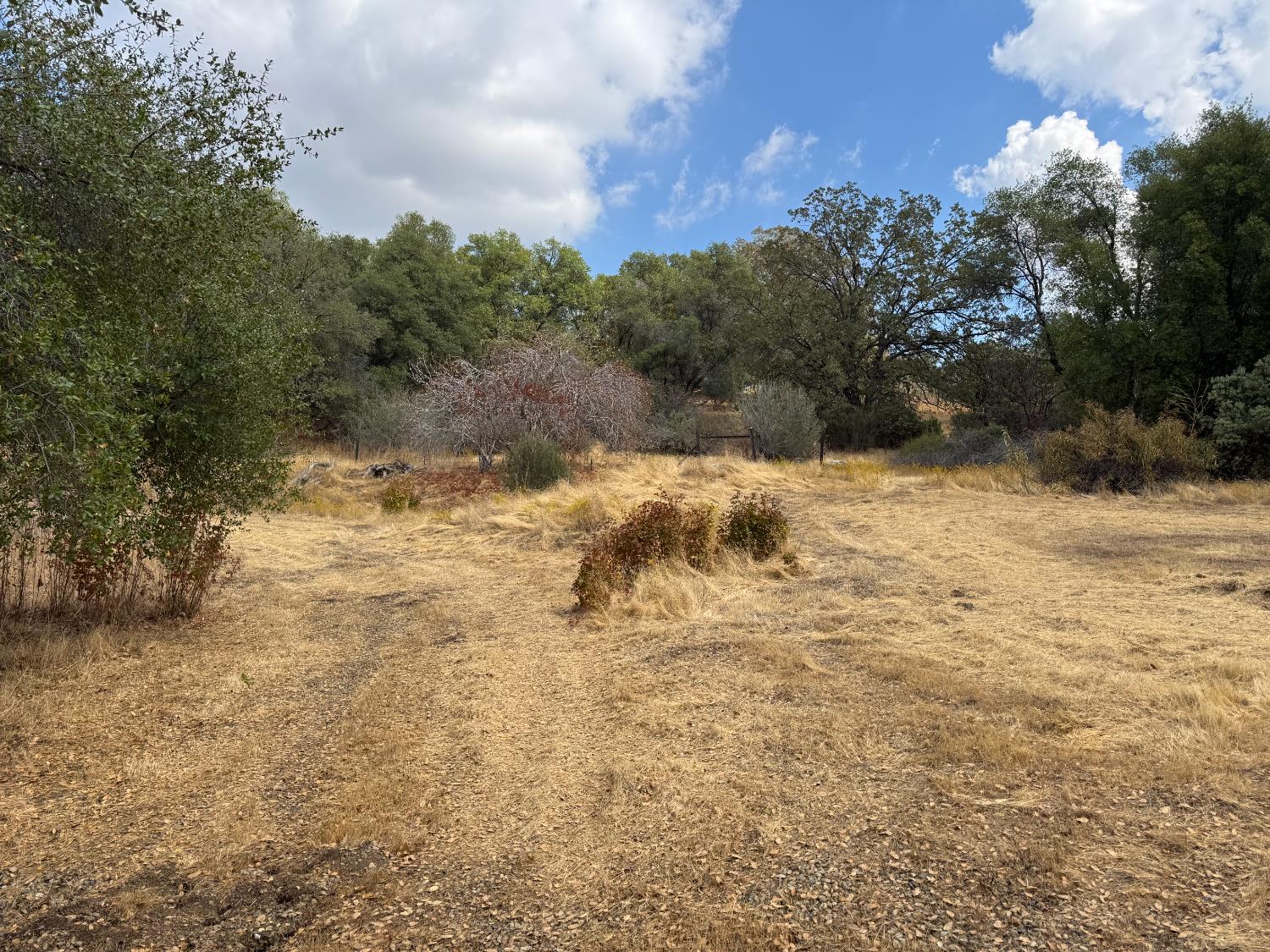 2 Summerhill, Coarsegold, CA 93614