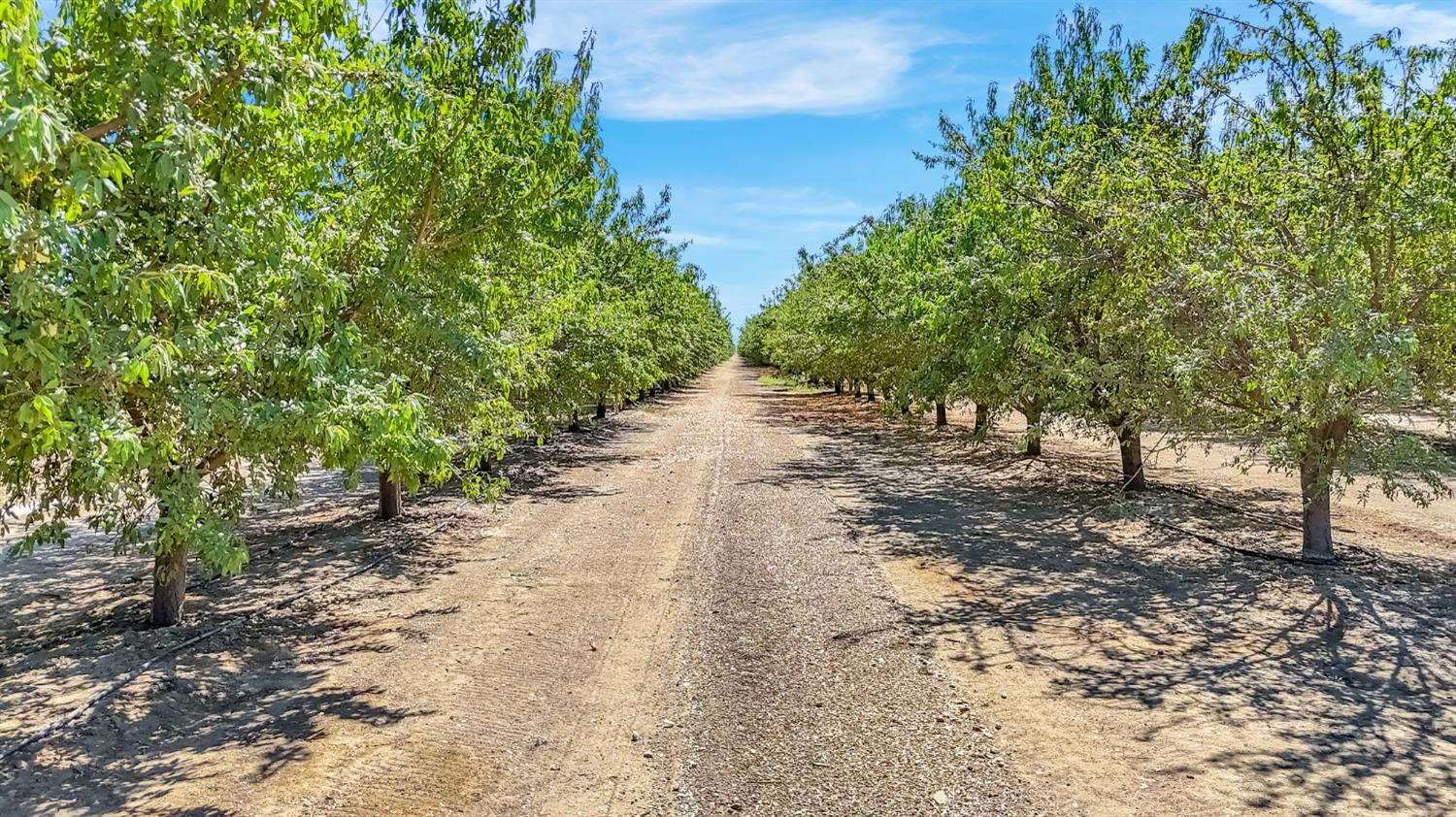 26457 W Oakland Ave, Coalinga, CA 93210