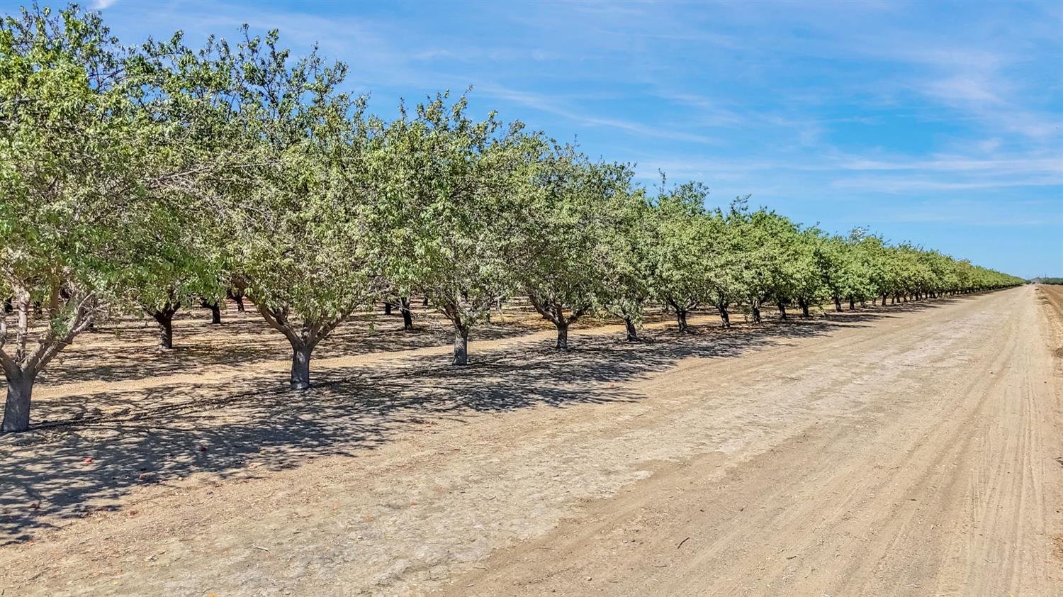 26457 W Oakland Ave, Coalinga, CA 93210