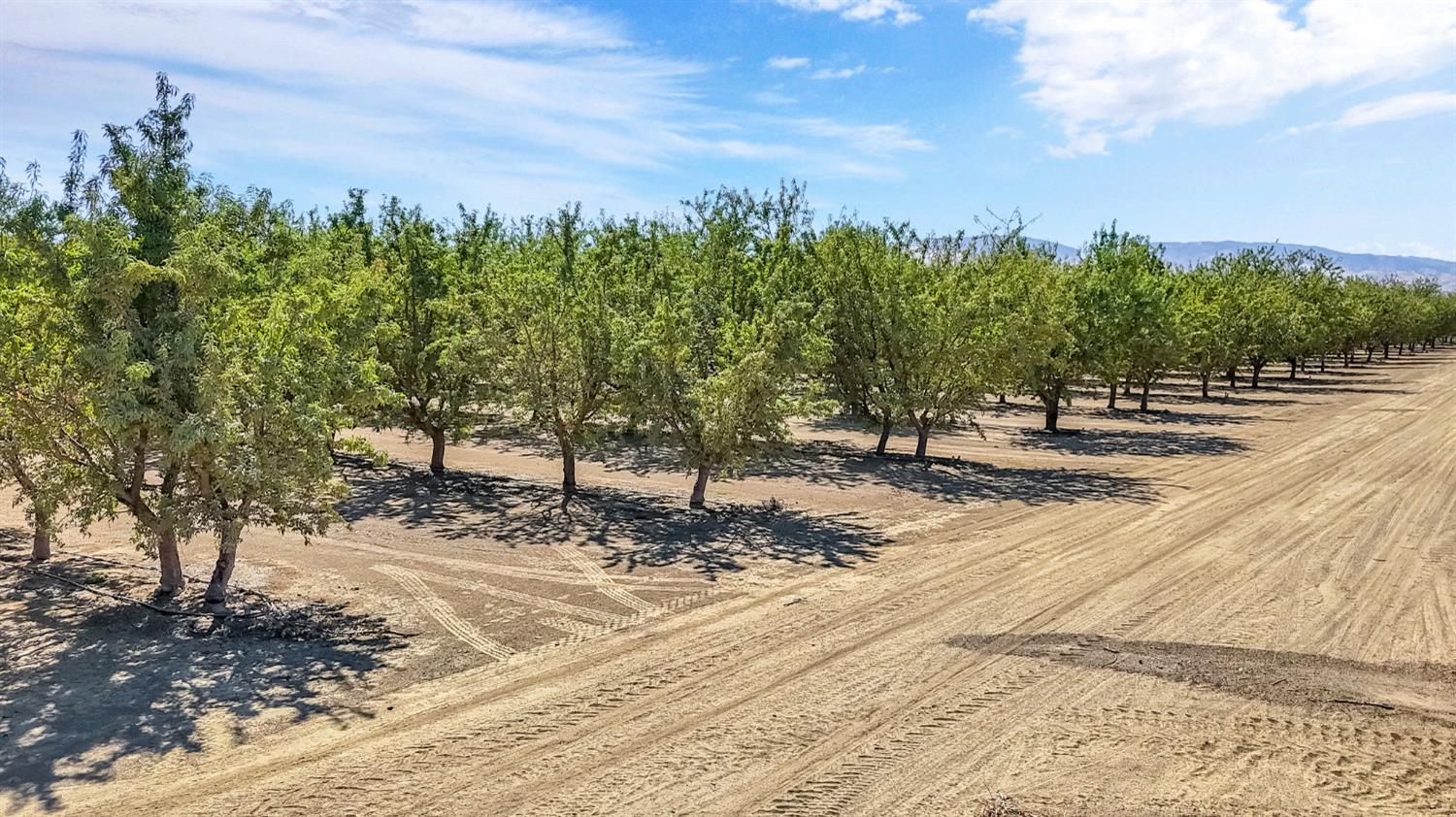 26457 W Oakland Ave, Coalinga, CA 93210