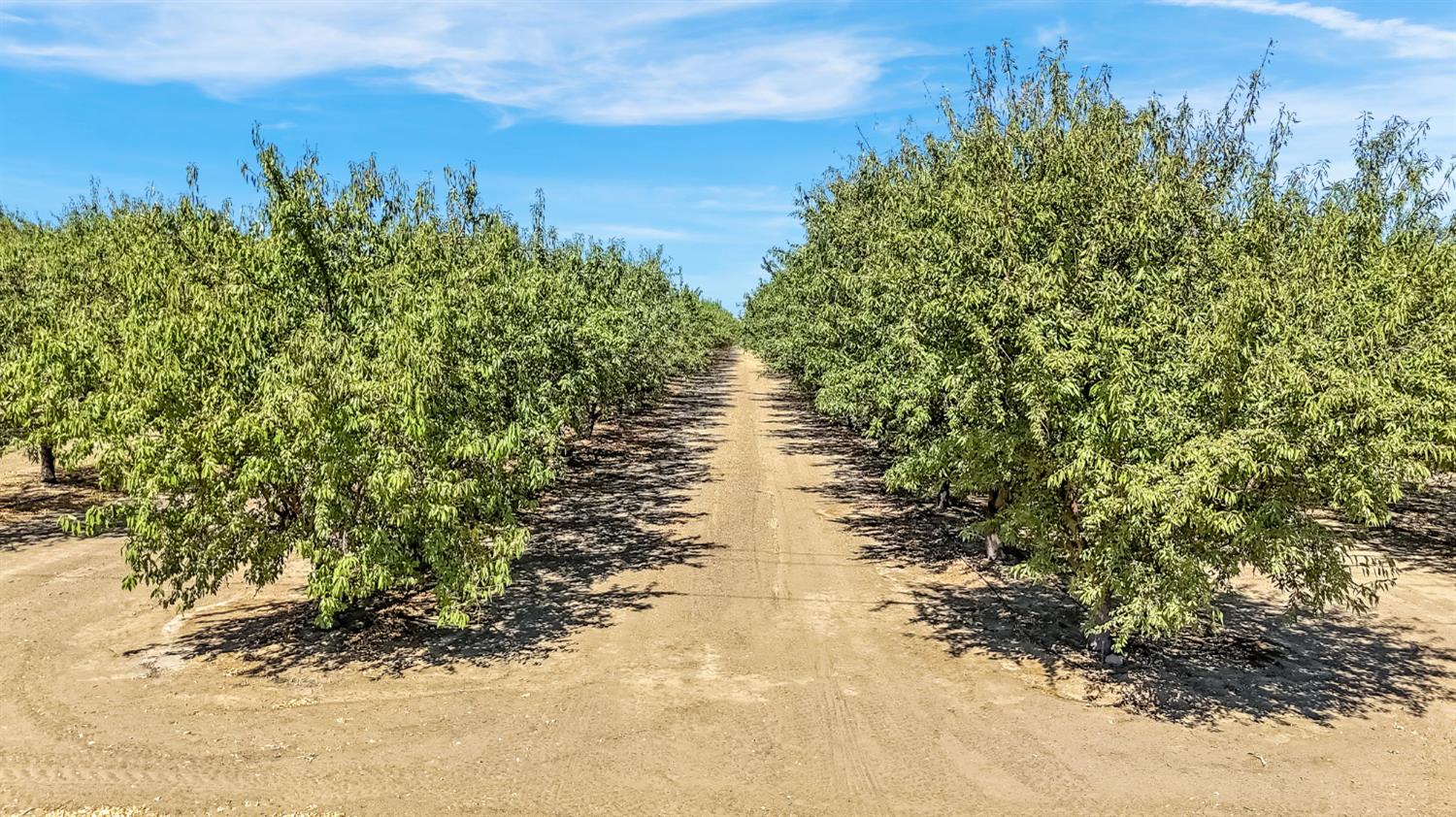 26457 W Oakland Ave, Coalinga, CA 93210