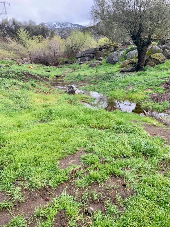 37728 Squaw Valley Rd, Yokuts Valley, CA 93675