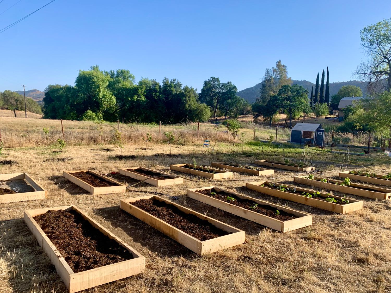 37728 Squaw Valley Rd, Yokuts Valley, CA 93675