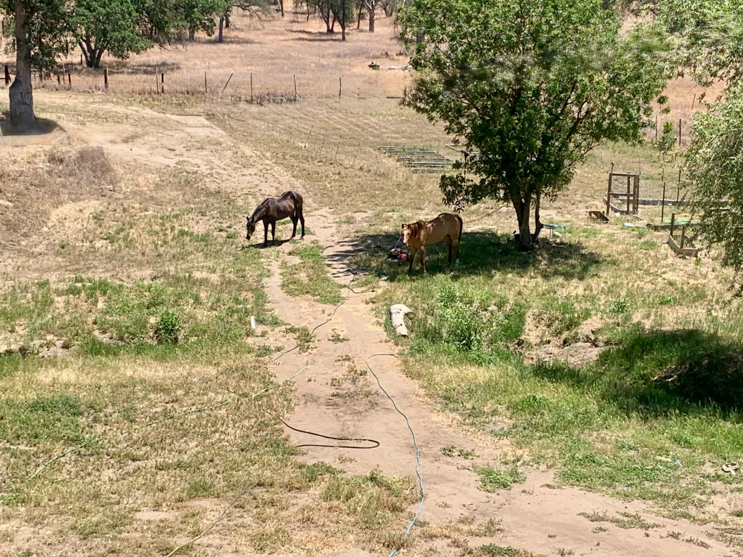 37728 Squaw Valley Rd, Yokuts Valley, CA 93675