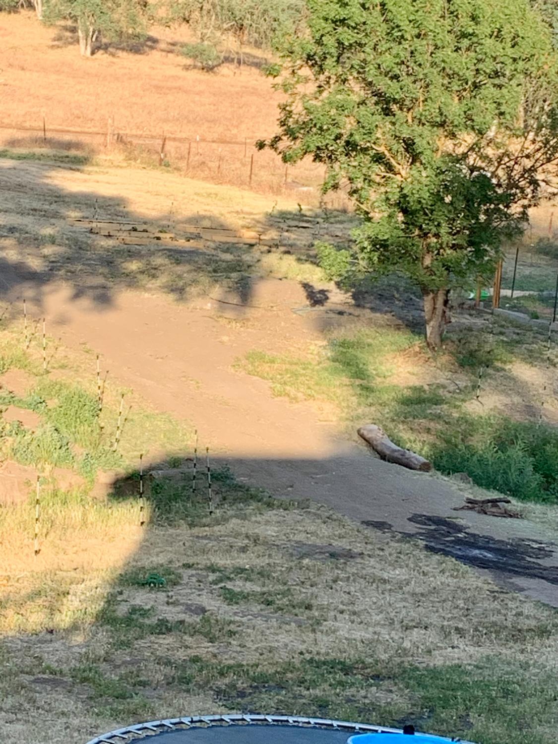 37728 Squaw Valley Rd, Yokuts Valley, CA 93675