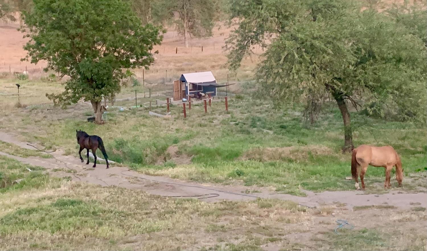 37728 Squaw Valley Rd, Yokuts Valley, CA 93675