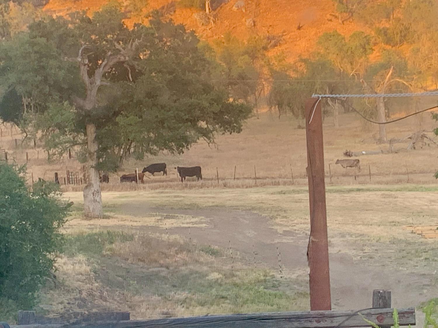 37728 Squaw Valley Rd, Yokuts Valley, CA 93675