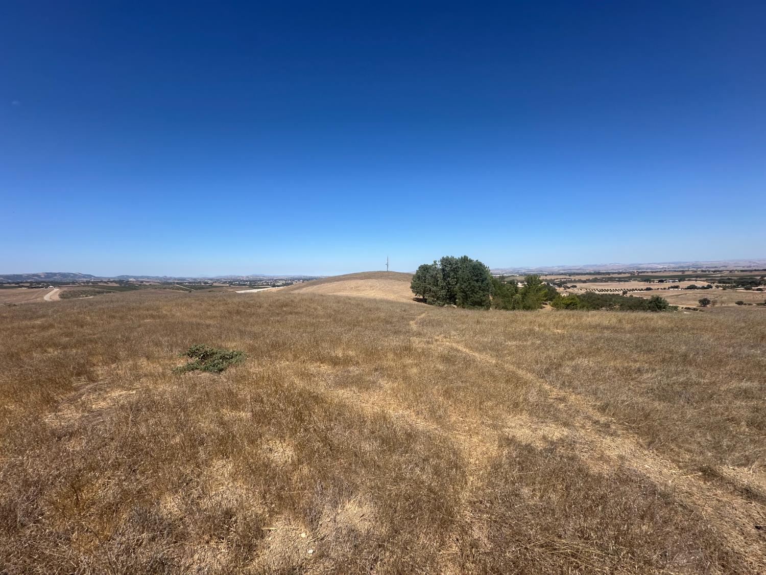 3834 Caroline, Paso Robles, CA 93446
