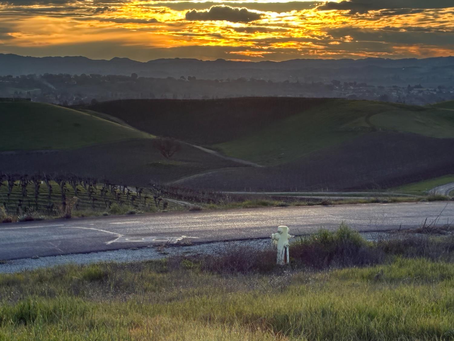 3834 Caroline, Paso Robles, CA 93446