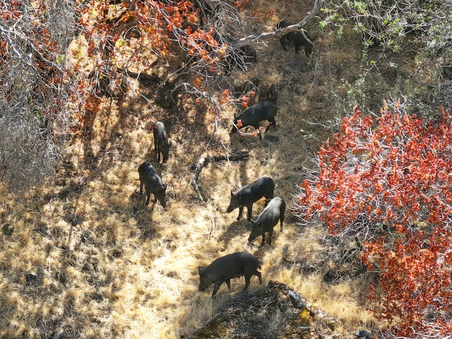 0 0 Highway 180, Yokuts Valley, CA 93675