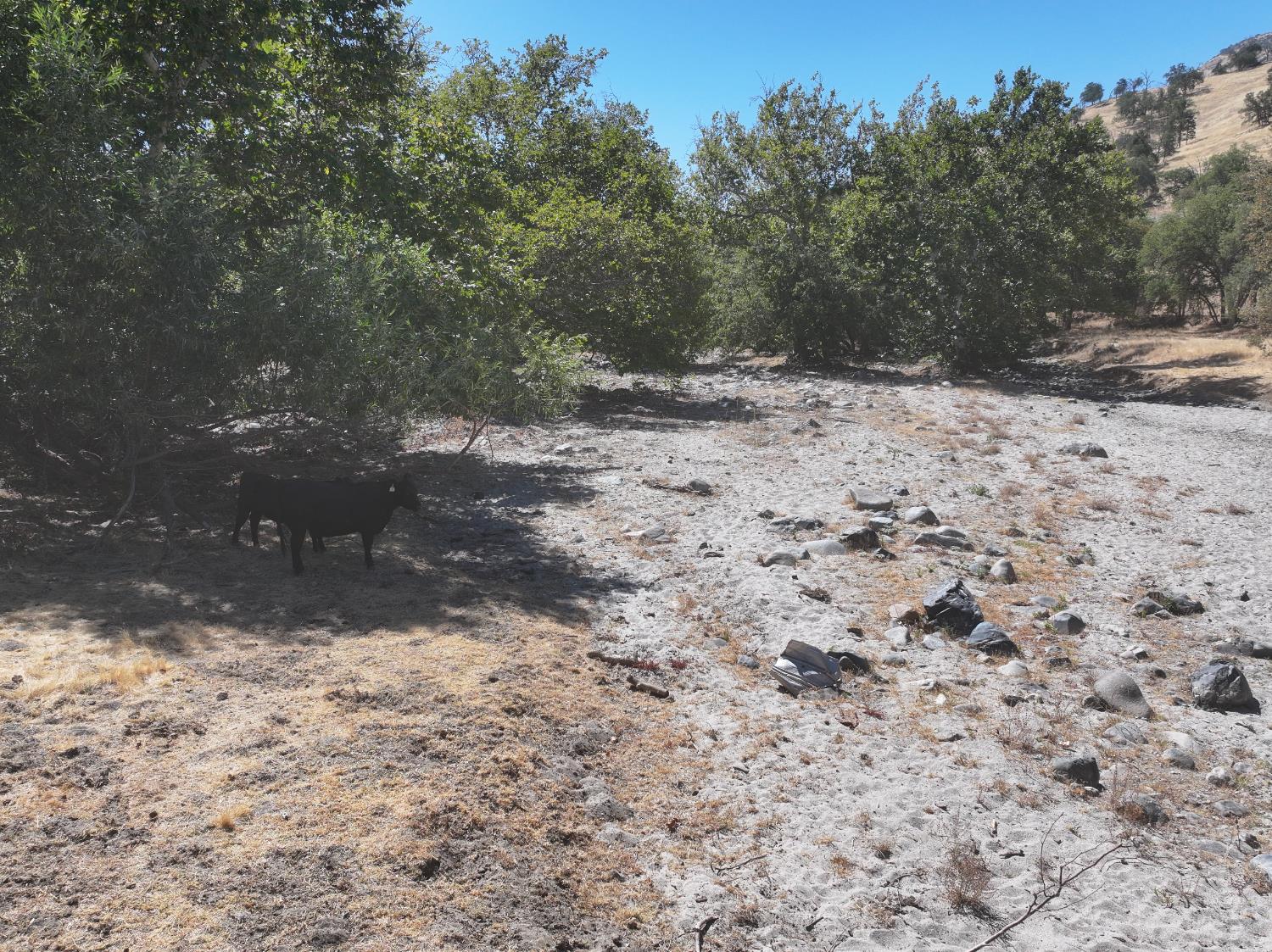 0 0 Highway 180, Yokuts Valley, CA 93675