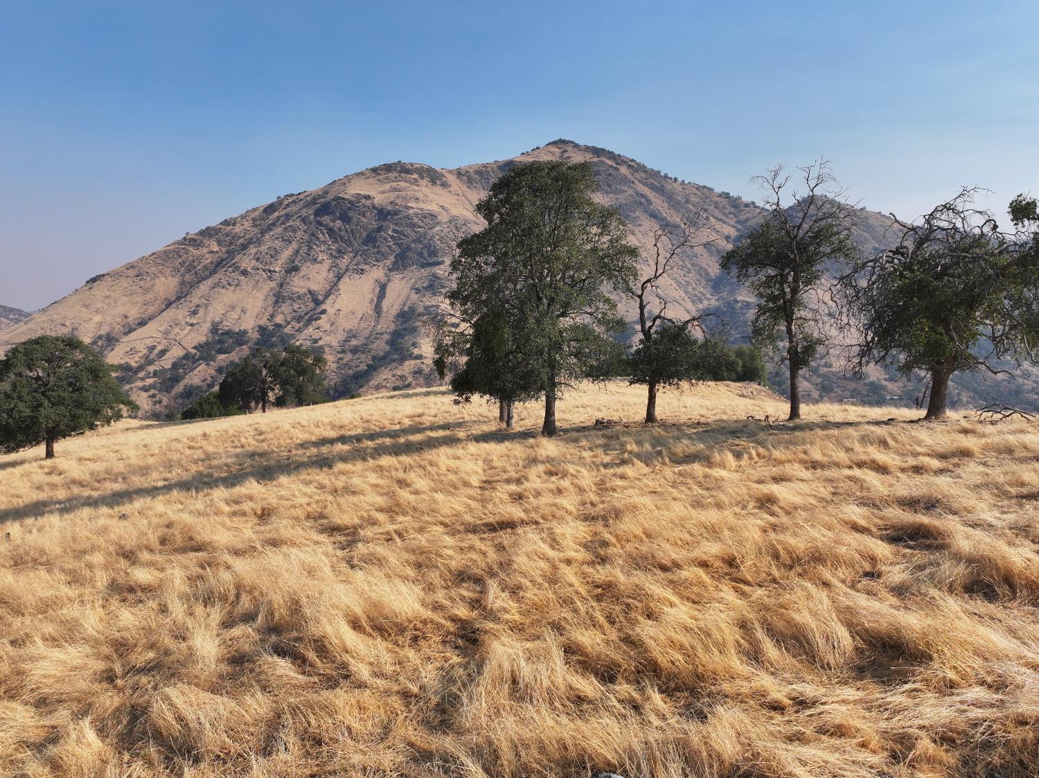 0 0 Highway 180, Yokuts Valley, CA 93675