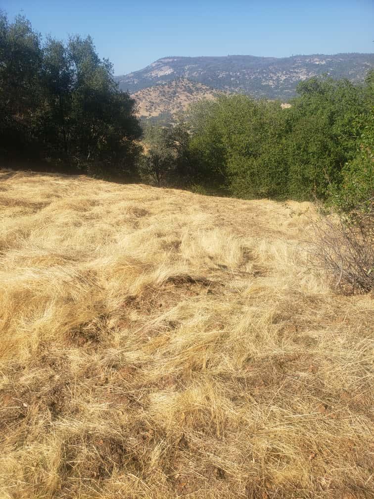 29763 Stoney Creek Rd, Tollhouse, CA 93667