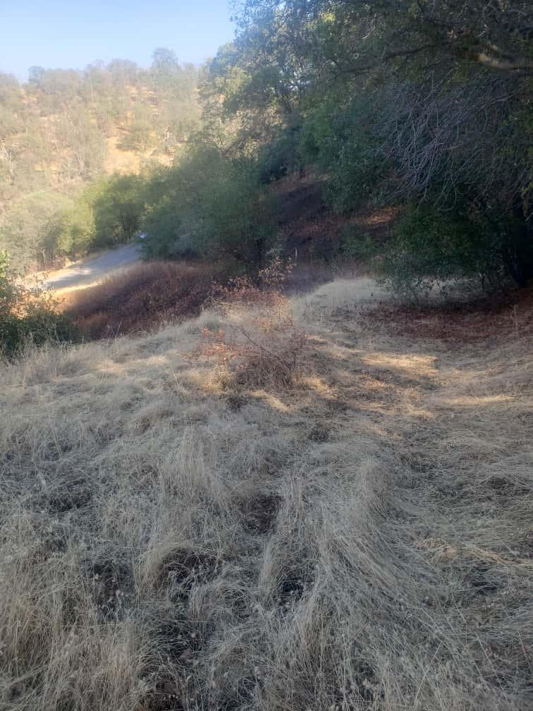 29763 Stoney Creek Rd, Tollhouse, CA 93667