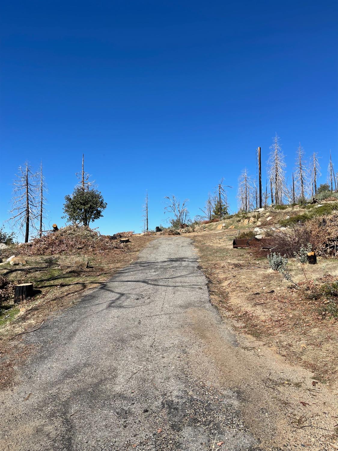 36982 Glenwood Ln, Shaver Lake, CA 93664