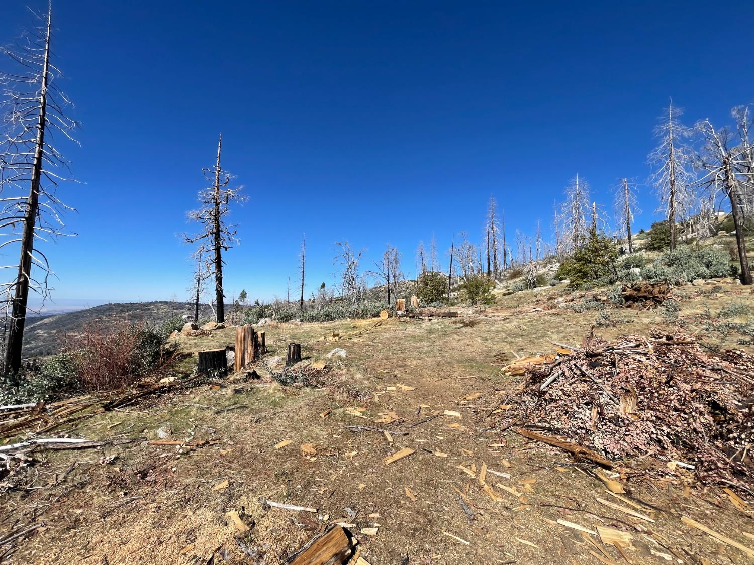 36982 Glenwood Ln, Shaver Lake, CA 93664