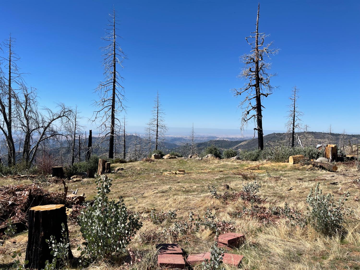 36982 Glenwood Ln, Shaver Lake, CA 93664