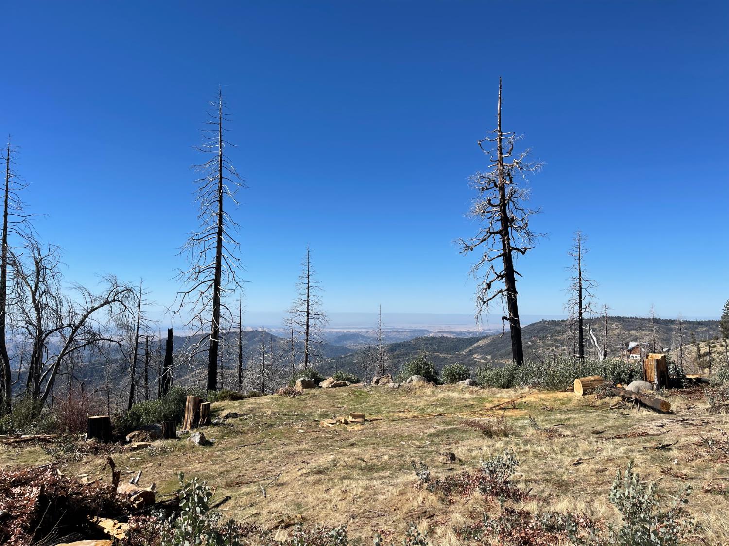 36982 Glenwood Ln, Shaver Lake, CA 93664