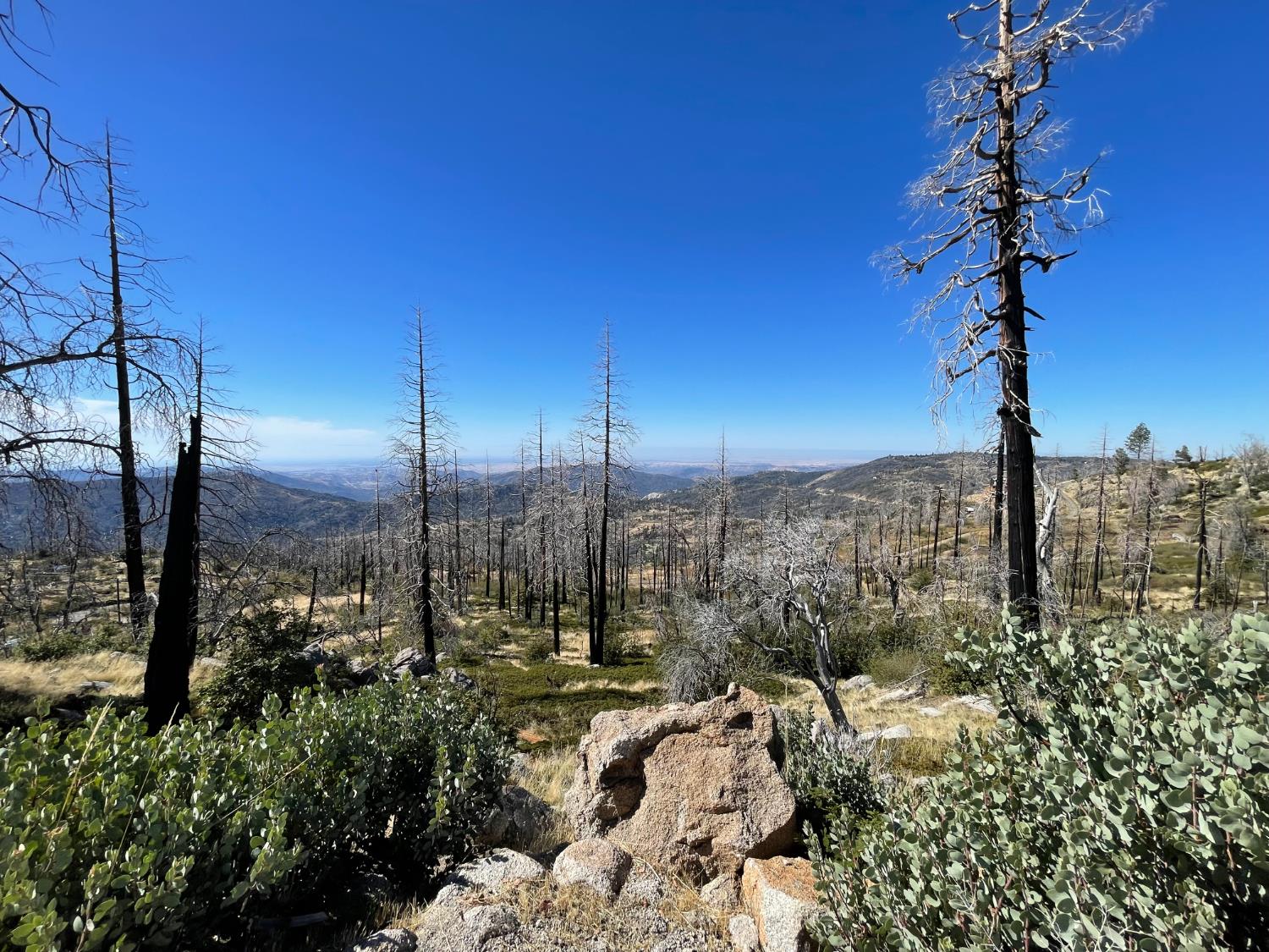 36982 Glenwood Ln, Shaver Lake, CA 93664