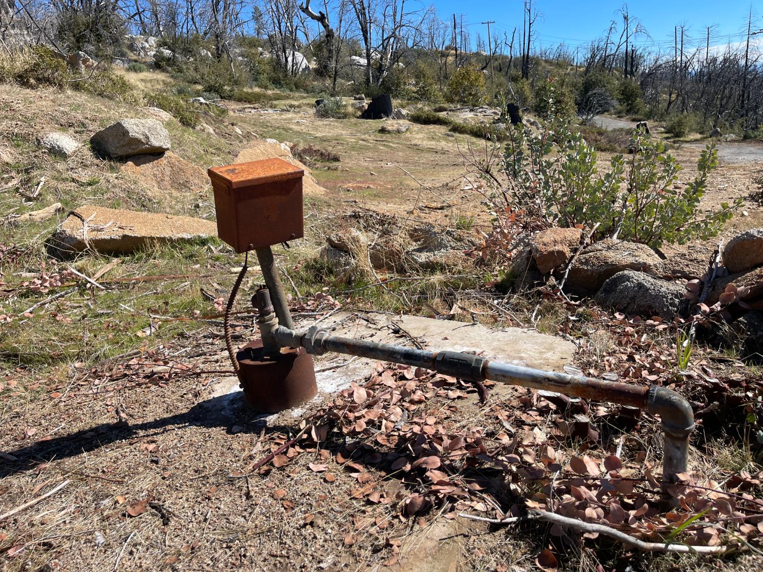 36982 Glenwood Ln, Shaver Lake, CA 93664