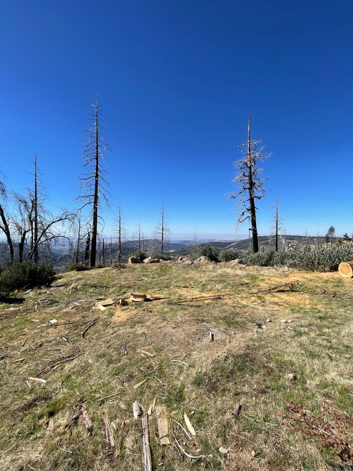 36982 Glenwood Ln, Shaver Lake, CA 93664