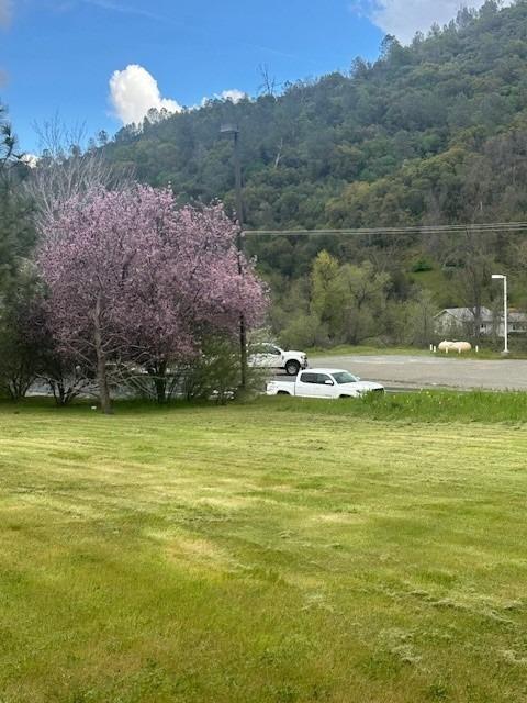 46982 Pony Express Ln, Coarsegold, CA 93614