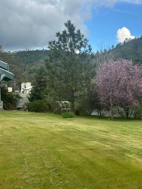 46982 Pony Express Ln, Coarsegold, CA 93614