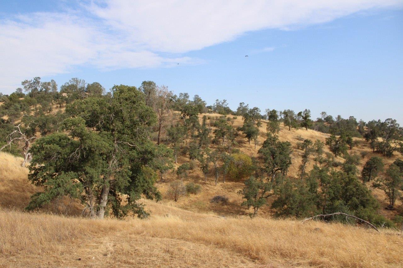 1578 Lilley Mountain Dr, Coarsegold, CA 93614