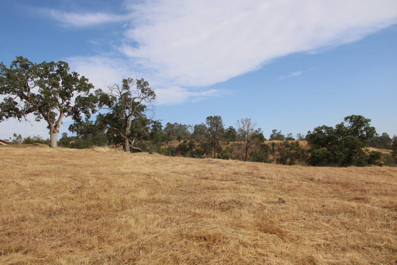 1578 Lilley Mountain Dr, Coarsegold, CA 93614