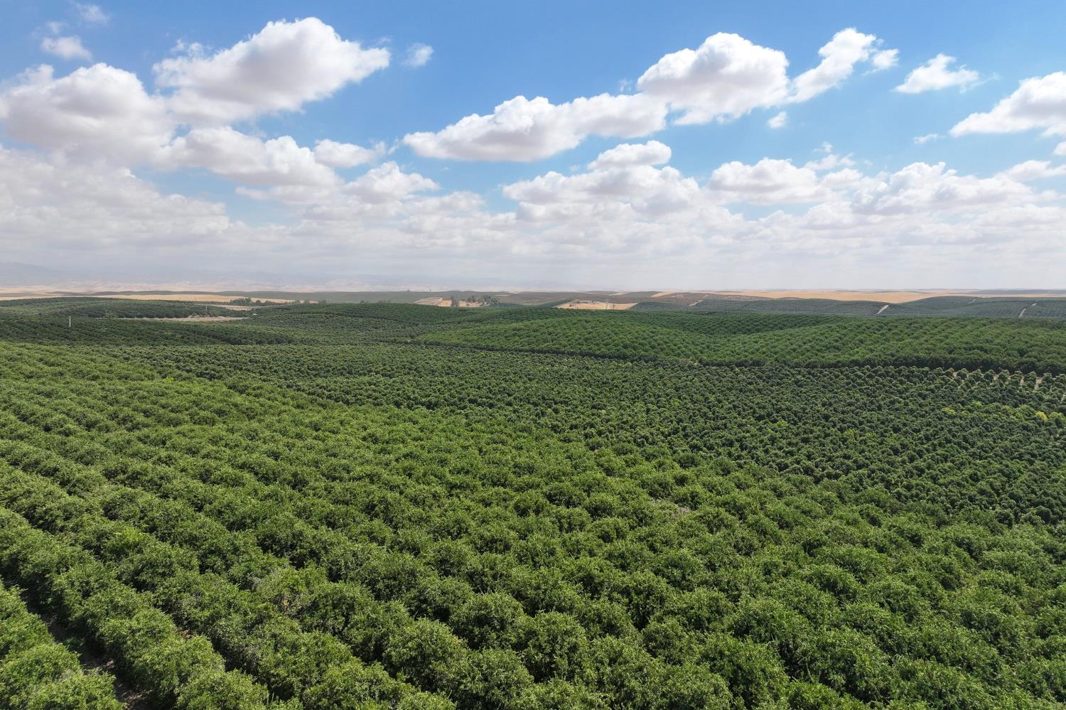 0 0 Ave. 2, Richgrove, CA 93261