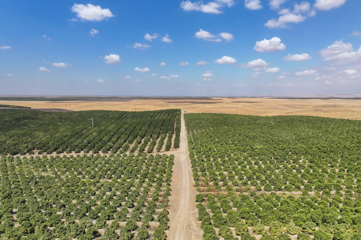 0 0 Ave. 2, Richgrove, CA 93261