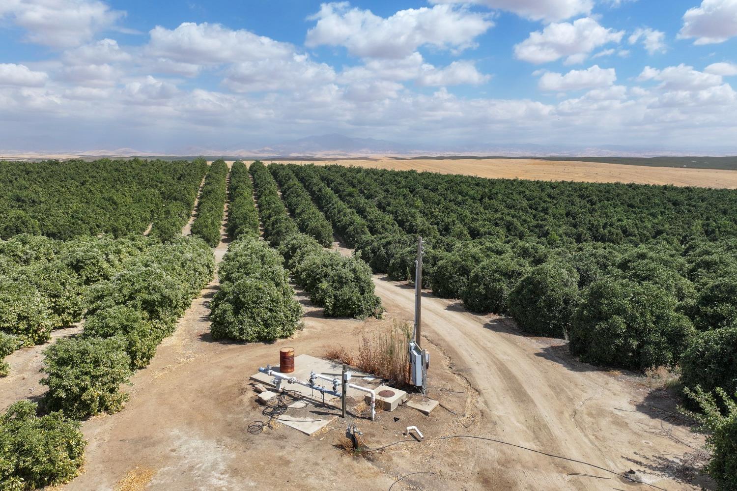 0 0 Ave. 2, Richgrove, CA 93261