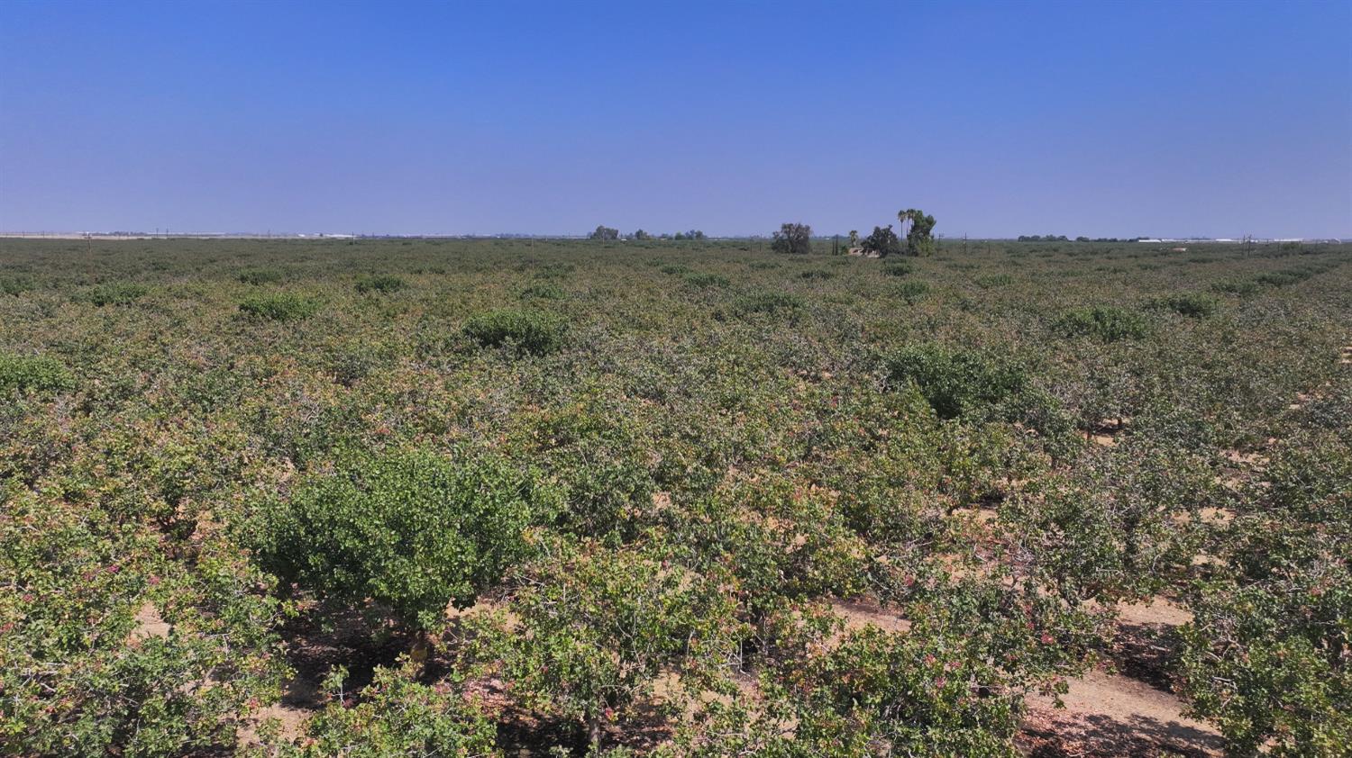 196 Whitley Ave, Corcoran, CA 93212