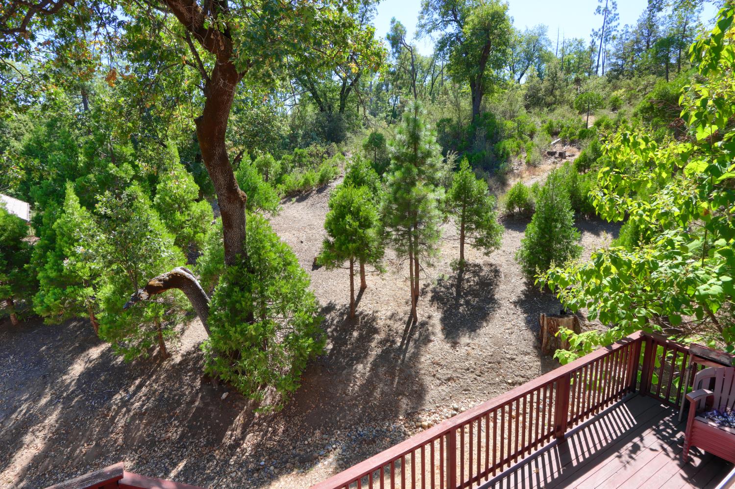 50840 Smoke Tree Trail, Bass Lake, CA 93604