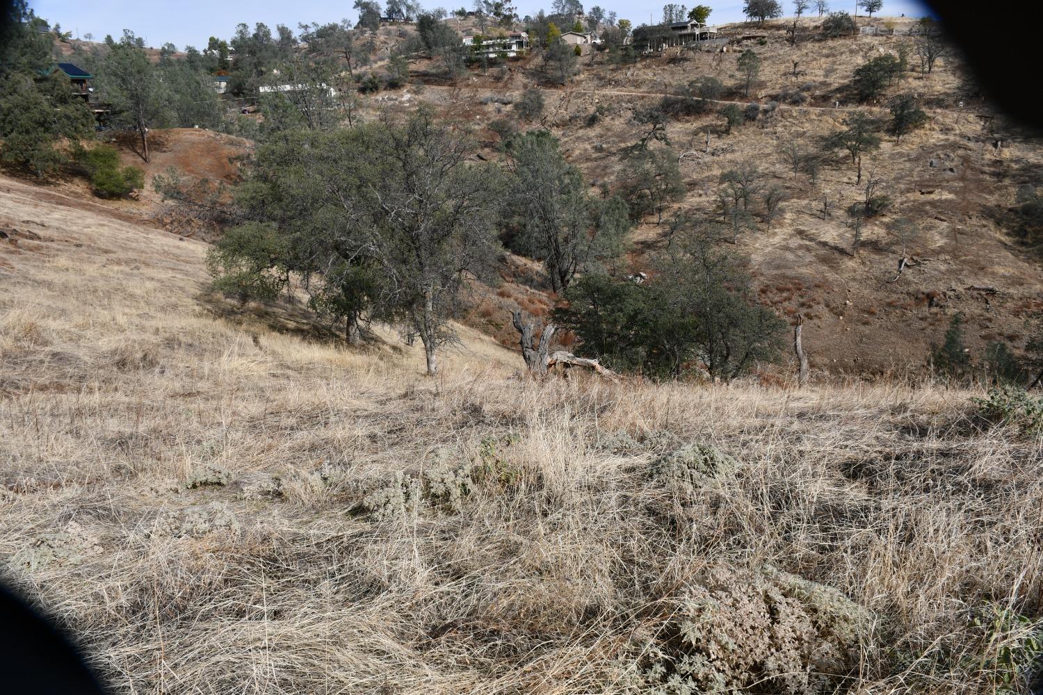 102 Hidden Lake Blvd, Friant, CA 93653