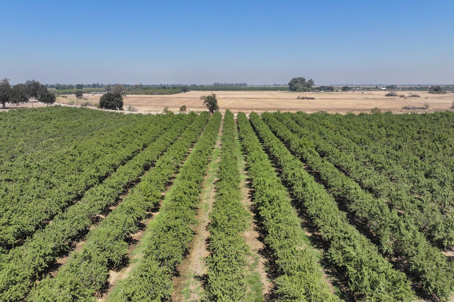 0 0 9 1/2 Ave, Hanford, CA 93230