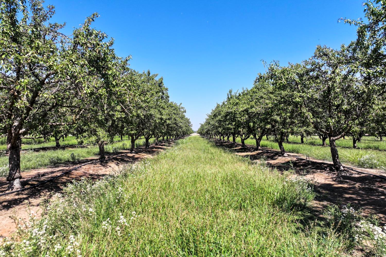 0 0 9 1/2 Ave, Hanford, CA 93230