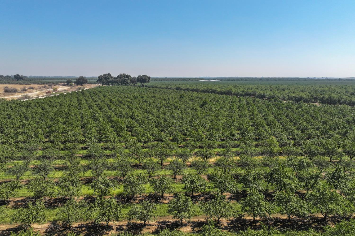 0 0 9 1/2 Ave, Hanford, CA 93230