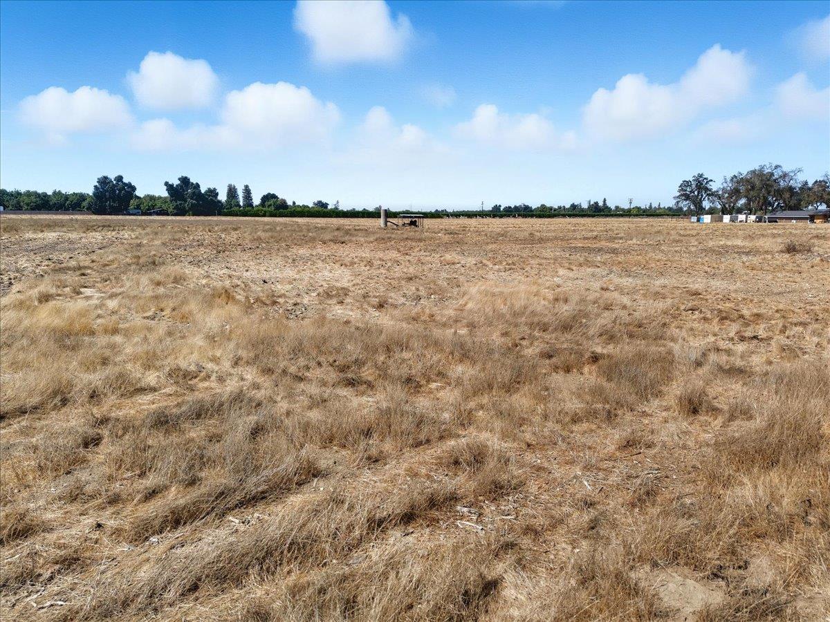 0 0000 Rd 160, Ivanhoe, CA 93235