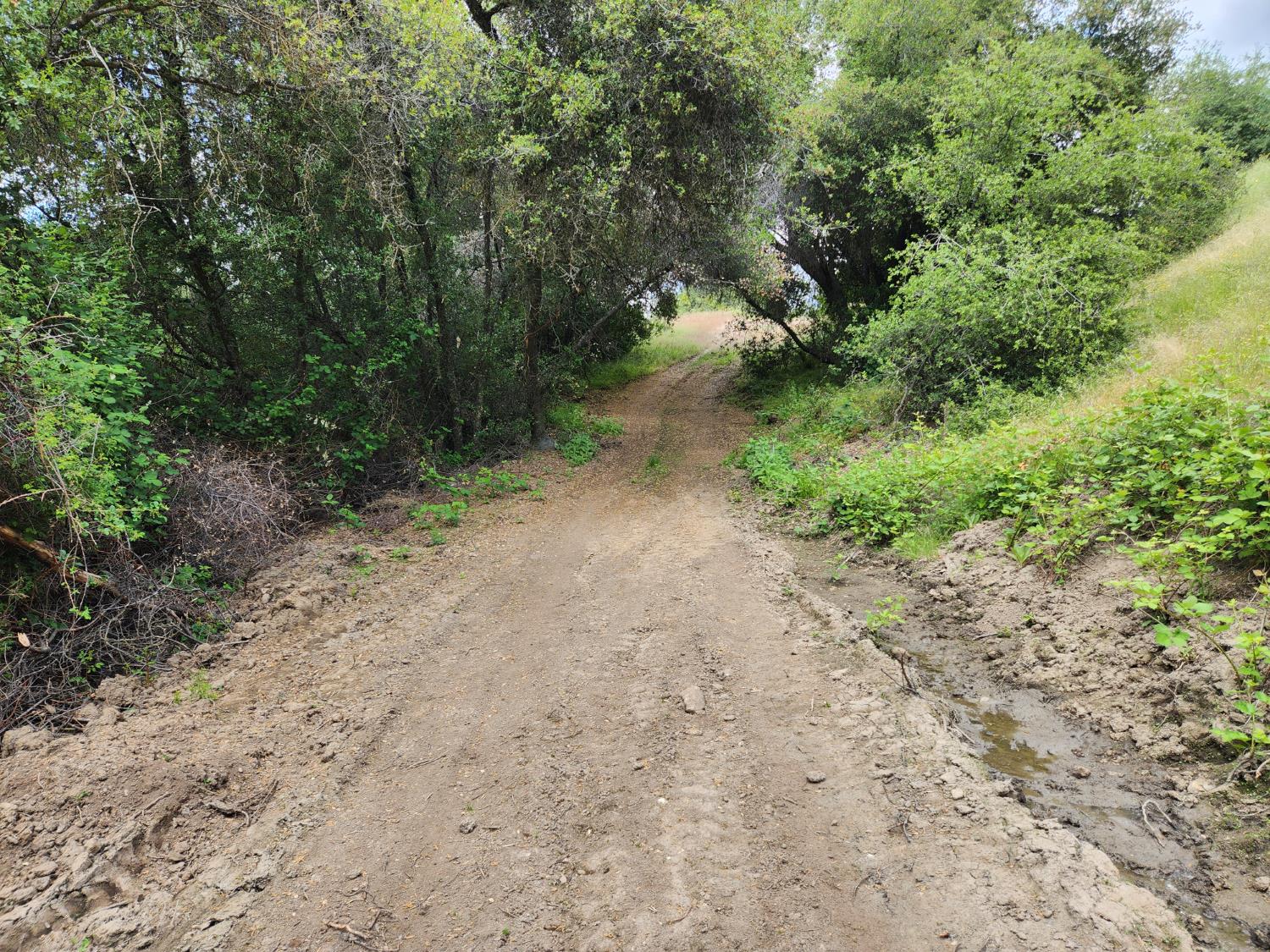 44001 Dunlap Rd, Miramonte, CA 93641