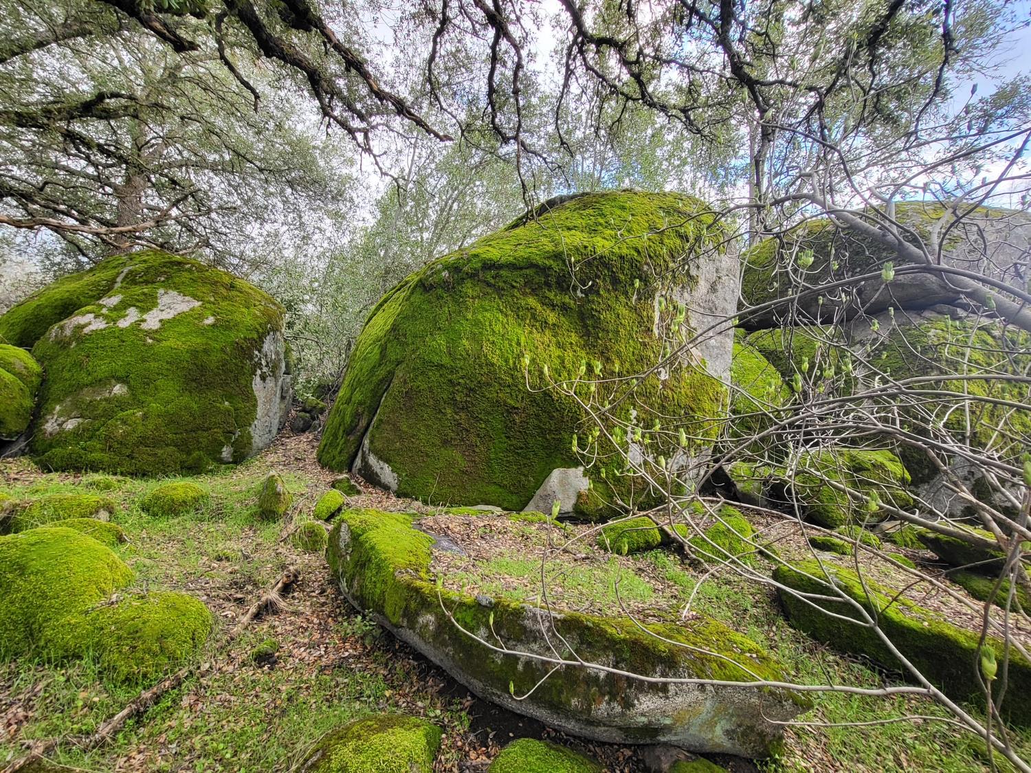 44001 Dunlap Rd, Miramonte, CA 93641