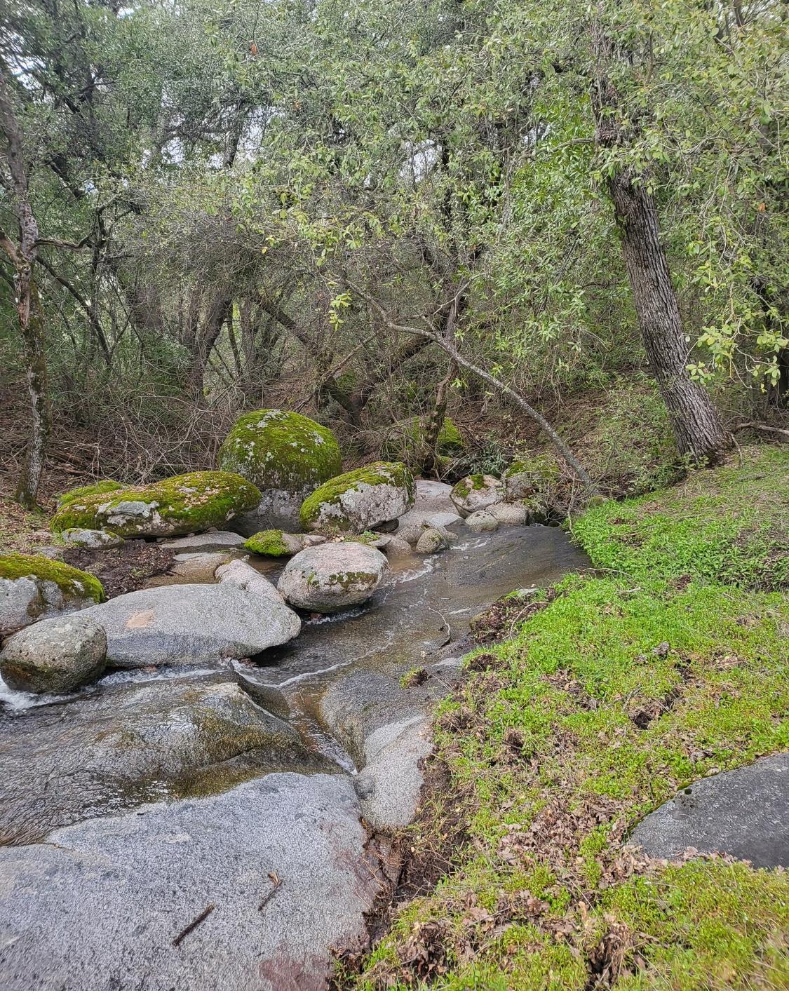 44001 Dunlap Rd, Miramonte, CA 93641