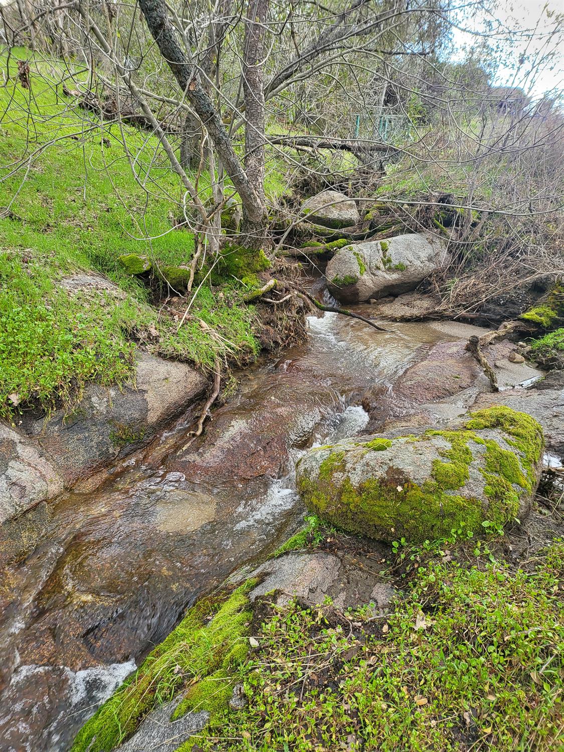 44001 Dunlap Rd, Miramonte, CA 93641