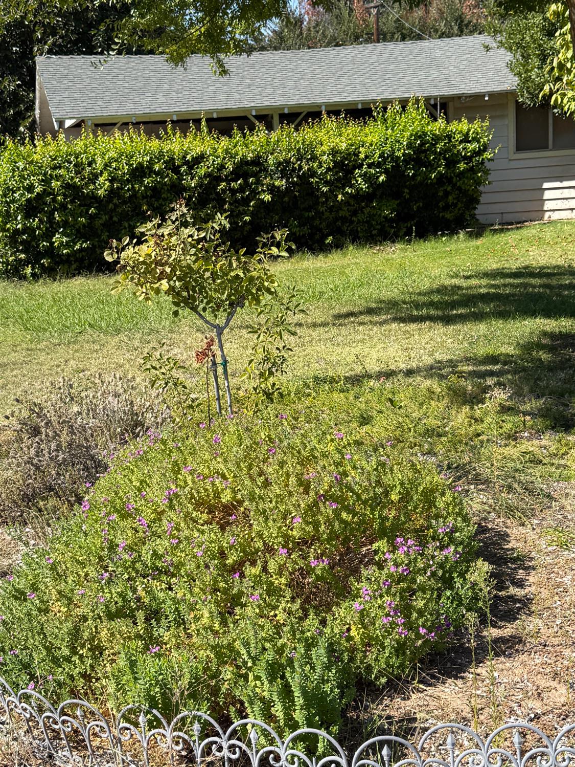 742 S Park Circle Dr, Fresno, CA 93727