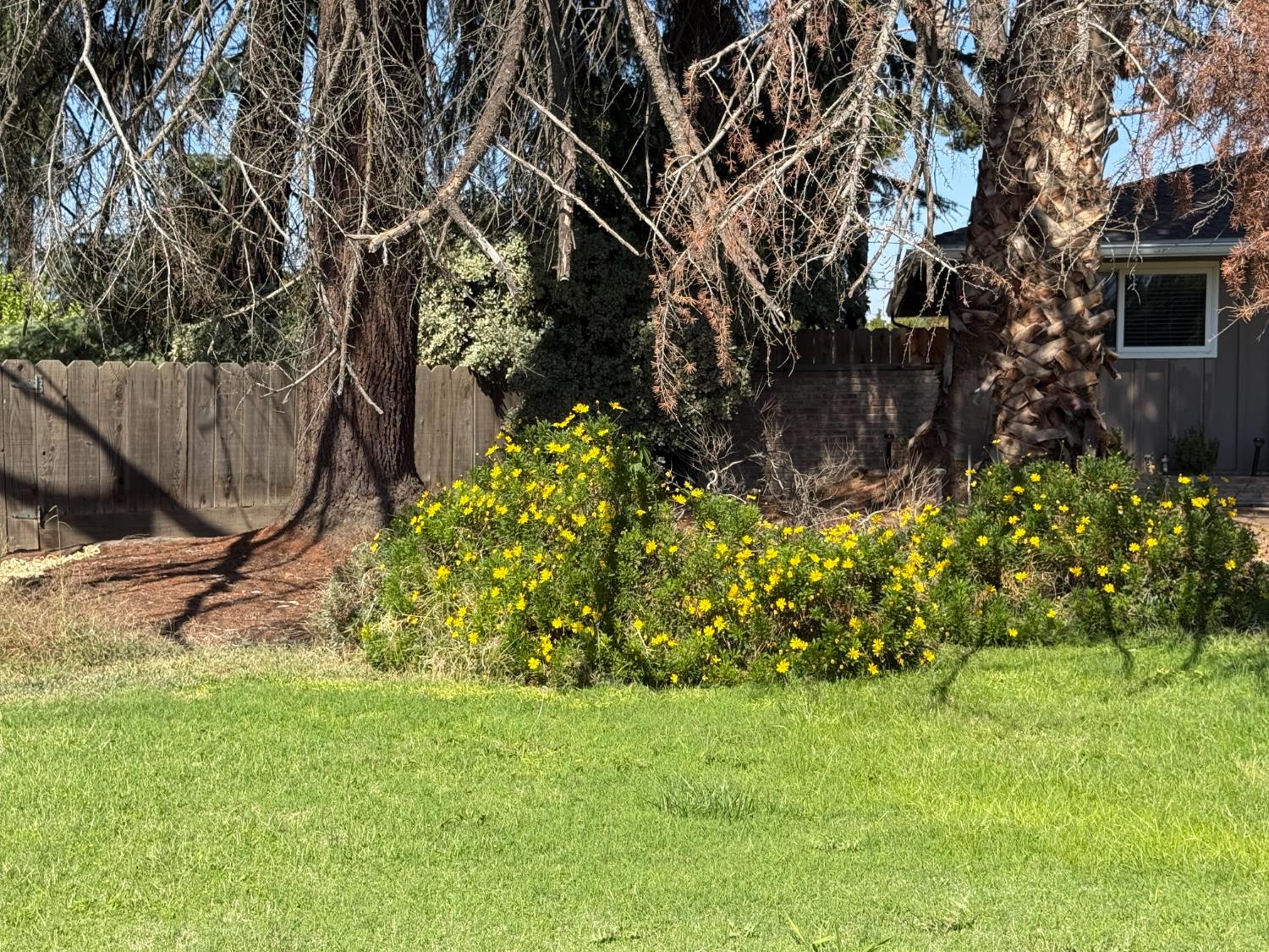 742 S Park Circle Dr, Fresno, CA 93727