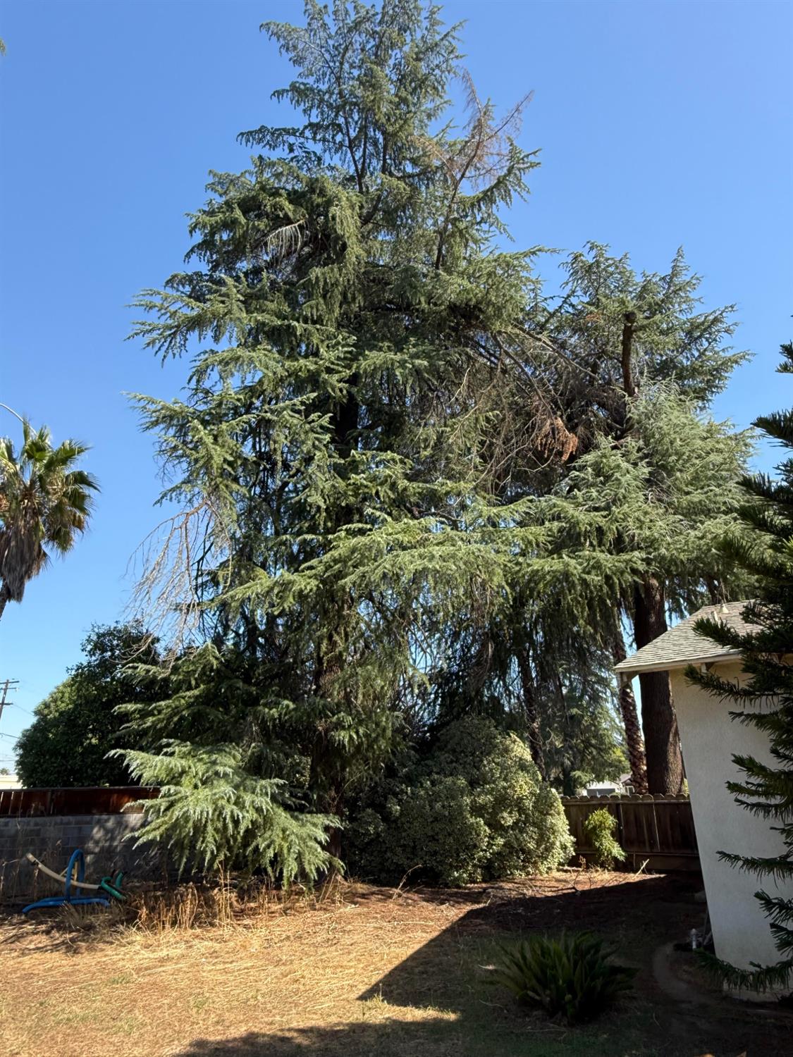 742 S Park Circle Dr, Fresno, CA 93727