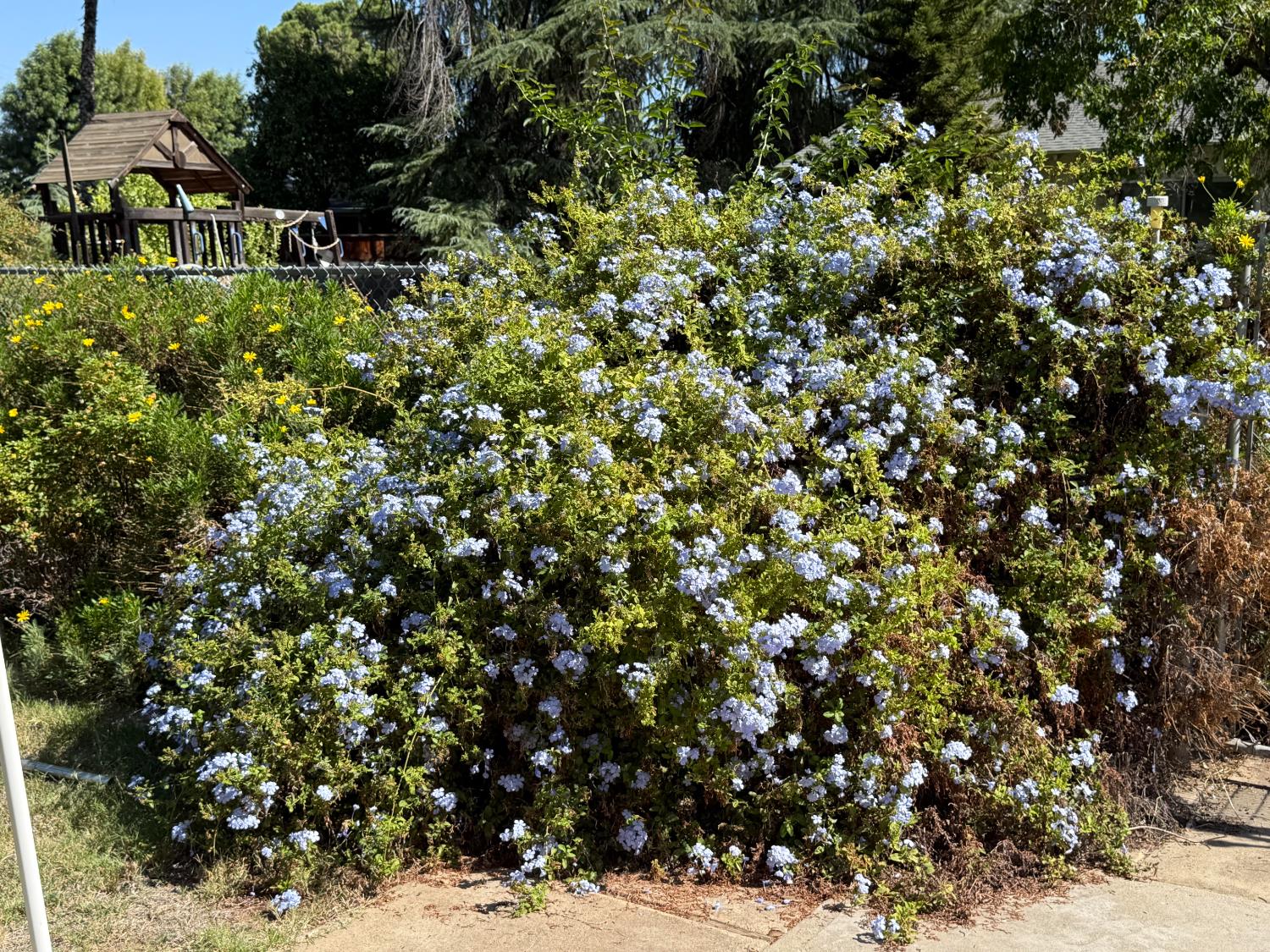 742 S Park Circle Dr, Fresno, CA 93727