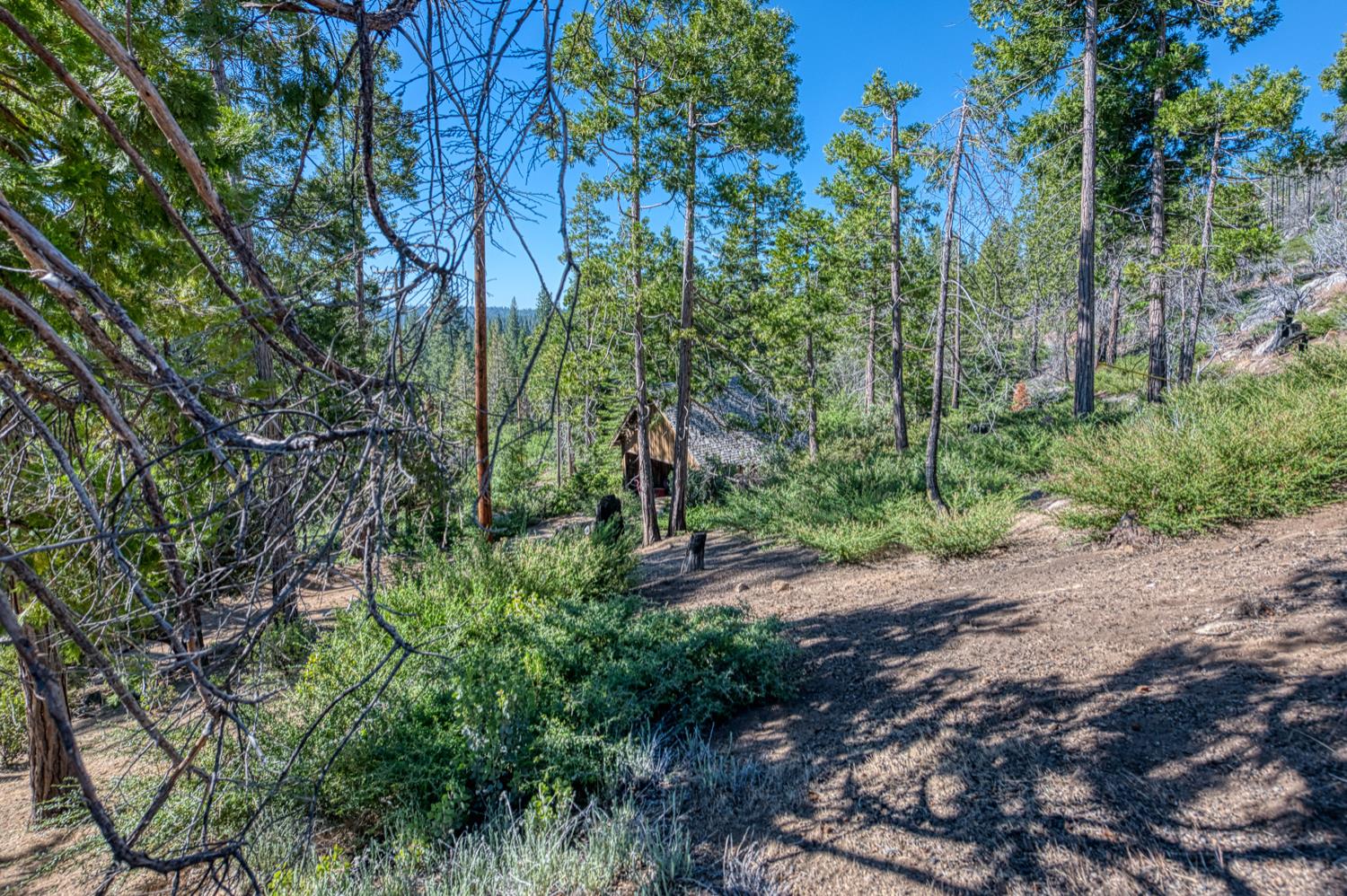 15 Rock Haven, Shaver Lake, CA 93664