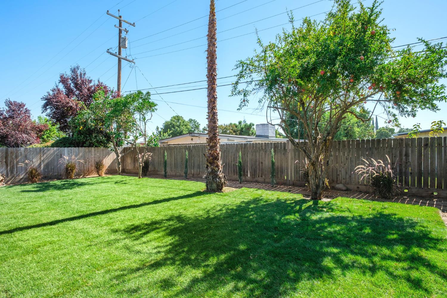 1067 W Minarets Ave, Fresno, CA 93650